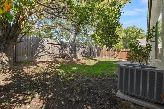 33-33_Backyard