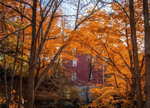 Amherst (2)