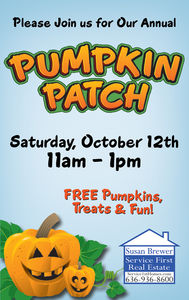 2013 pumpkin patch half page