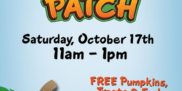 2015 Pumpkin Patch