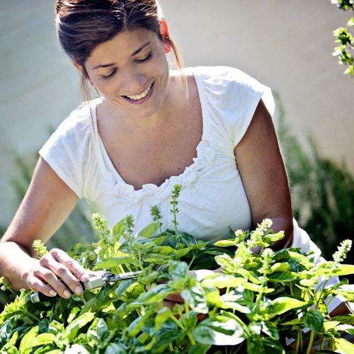 Fall Gardening