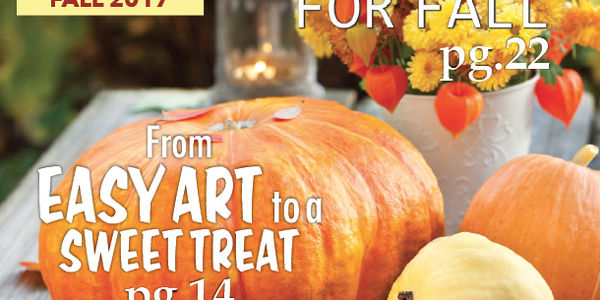 Fall Issue of St Louis Home and Happenings