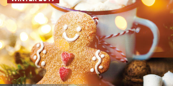 Winter St Louis Home and Happenings