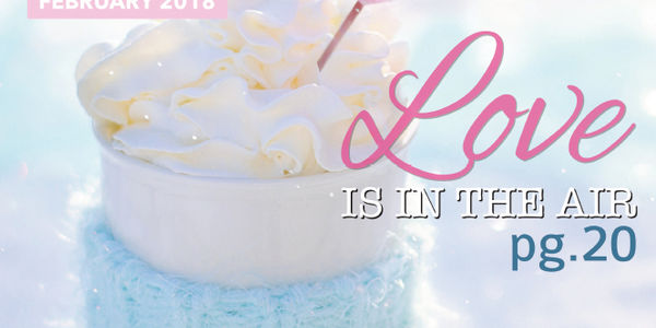 Feb - St Louis Home &amp; Happenings Magazine