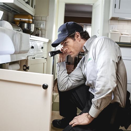 The secret places pests are hiding in your home