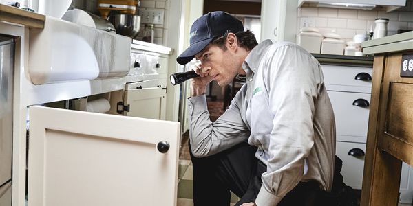 The secret places pests are hiding in your &hellip;