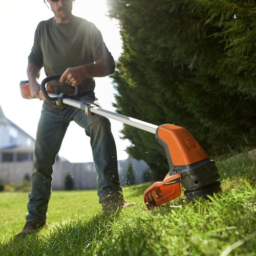 Dominate spring: 5 easy steps to wake up your lawn