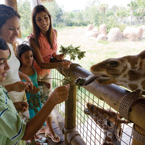 5 Fun, Educational Summer Activities for Kids