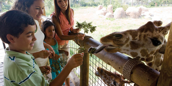 5 Fun, Educational Summer Activities for Kids