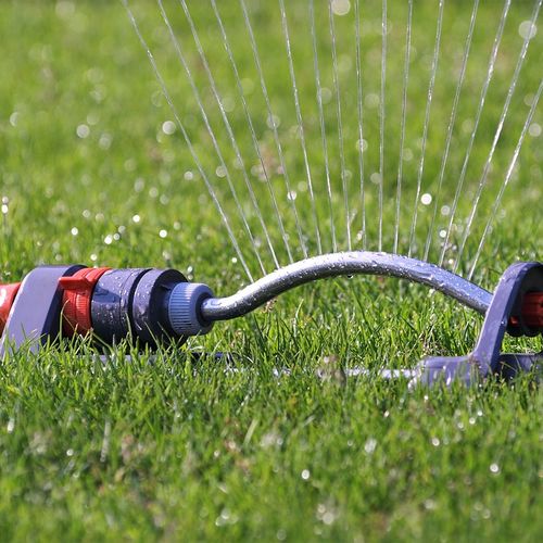Summer in St Louis Lawn Care