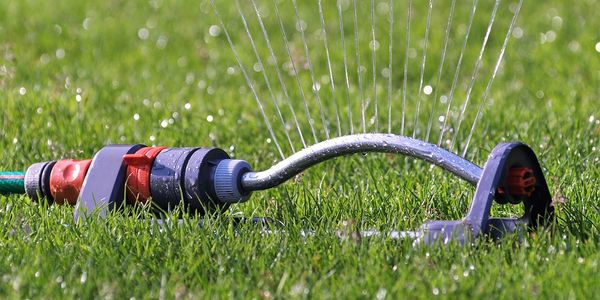 Summer in St Louis Lawn Care