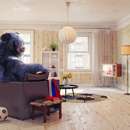 4 unusual homeowners claims you didn't think would ever happen