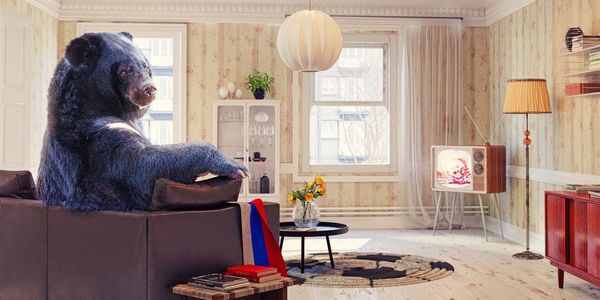 4 unusual homeowners claims you didn't think would &hellip;