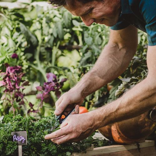 Pull Together a Garden-to-Table Meal This Summer