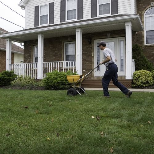 Fall maintenance tips for a lush green lawn next spring