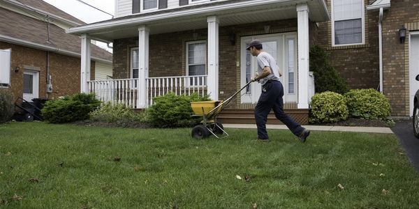 Fall maintenance tips for a lush green lawn &hellip;