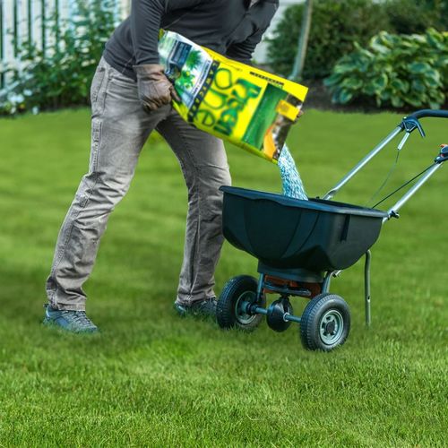 An easy spring guide to a green, weed-free lawn