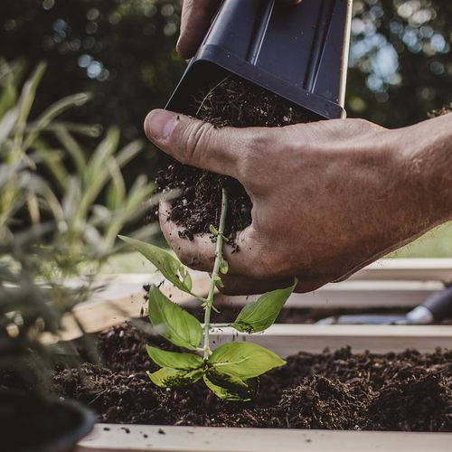 How to Create a DIY Planter Box for Growing Your Summer Herbs