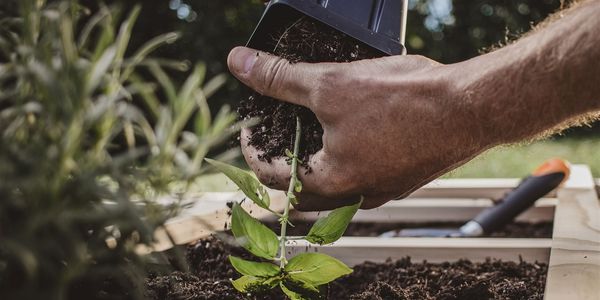 How to Create a DIY Planter Box for &hellip;
