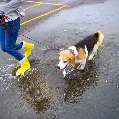 Keeping Your Home Safe when Excessive Rain is in the Forecast