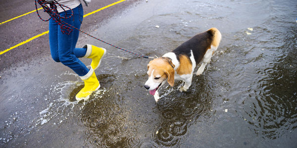 Keeping Your Home Safe when Excessive Rain is &hellip;