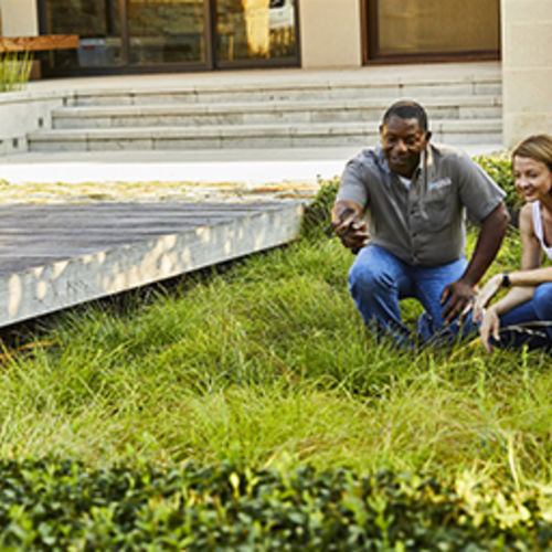 5 signs you need to hire a landscape professional