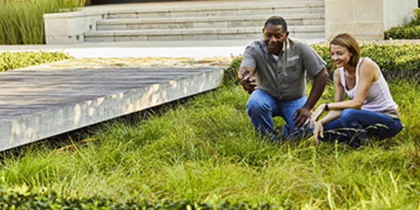 5 signs you need to hire a landscape &hellip;