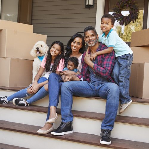 Top Tips for Moving With a Pet