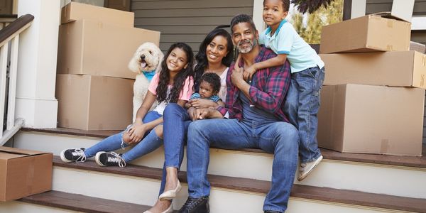 Top Tips for Moving With a Pet