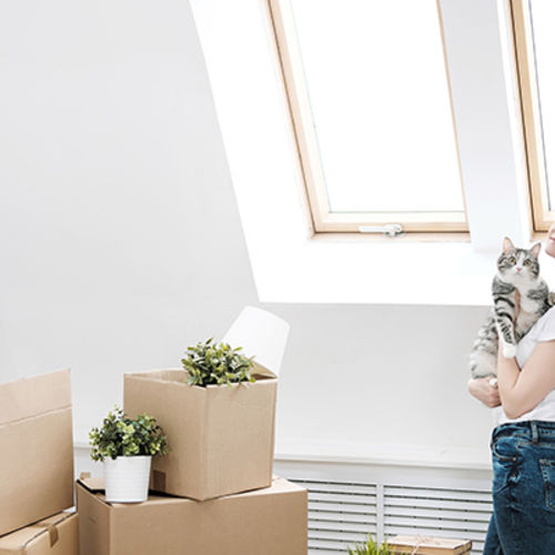 5 Tips for Moving with a Pet