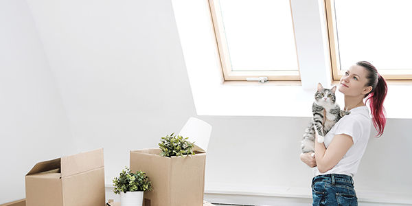 5 Tips for Moving with a Pet