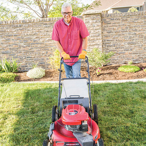 5 Fall Tips for a Healthy Yard