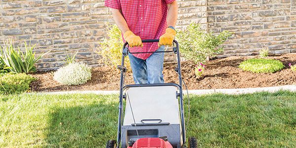 5 Fall Tips for a Healthy Yard