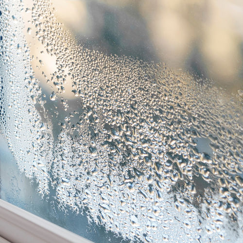 Should I Be Worried About That Condensation on My Windows?