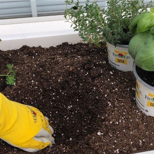 Top Gardening Trends for 2020