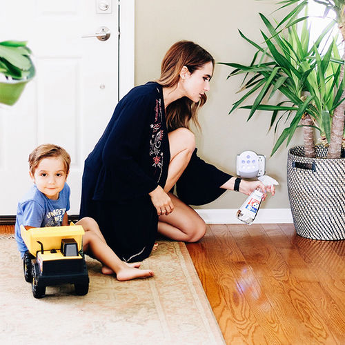 Tips to Safely Combat Home Bug Invasions