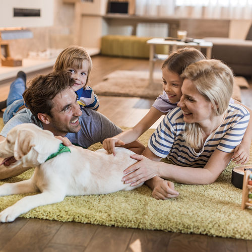 5 Tips for Bringing a New Pet Home