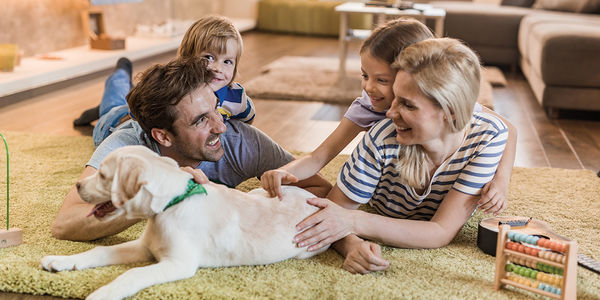 5 Tips for Bringing a New Pet Home