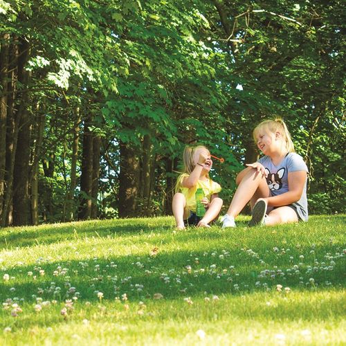 4 easy steps to an organic backyard