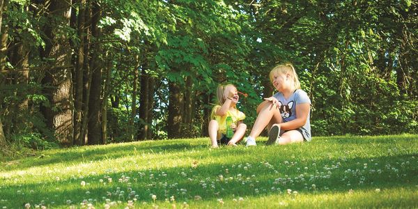 4 easy steps to an organic backyard