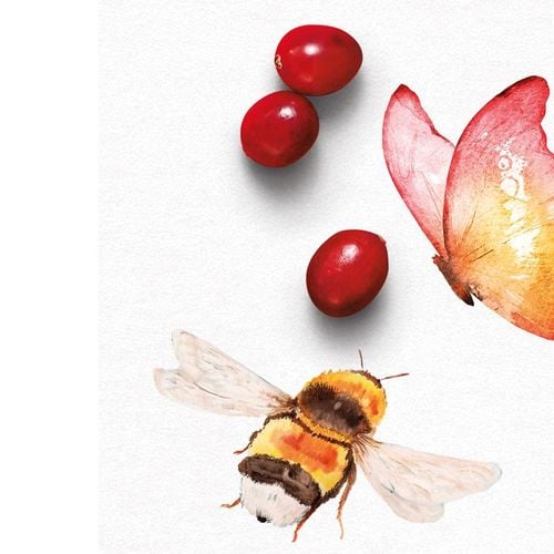 5 ways to help pollinators flourish