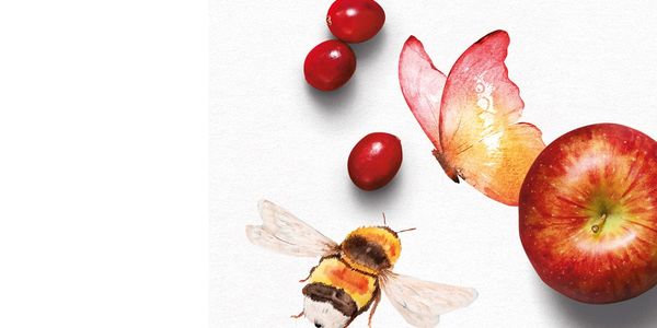 5 ways to help pollinators flourish