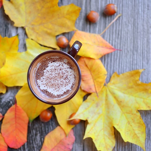 Preparing Your Home for Fall and Winter