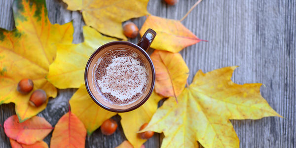 Preparing Your Home for Fall and Winter