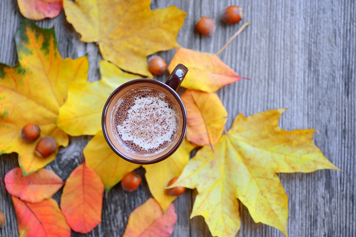 Autumn Cup of coffee, nuts, chocolate and autumn leaves. Autumn