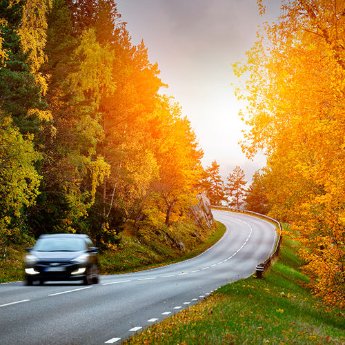 Tips to Take a Safe and Affordable Fall Road Trip