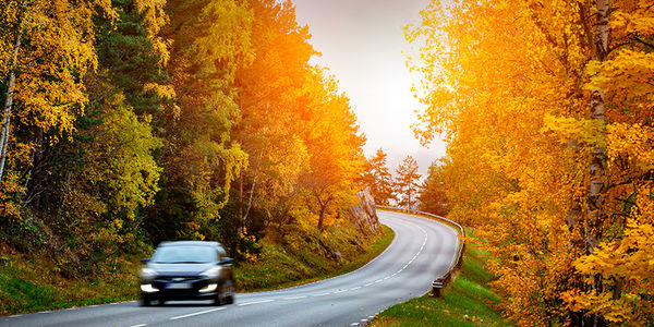 Tips to Take a Safe and Affordable Fall &hellip;