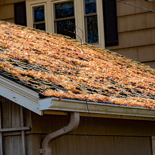 Keep Your Home Well-Maintained and Safe this Fall