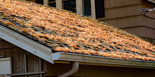 Keep Your Home Well-Maintained and Safe this Fall