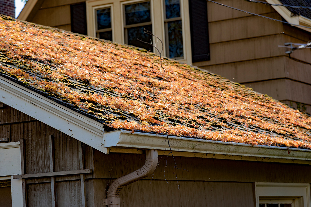fallen-autumn-leaves-on-the-roof-of-a-home-with-ra-NLYP63L